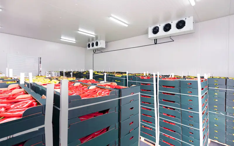 چرا سردخانه اي.jpg